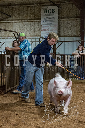 mayes_county_fair_premium_sale_2699