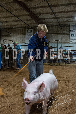 mayes_county_fair_premium_sale_2700