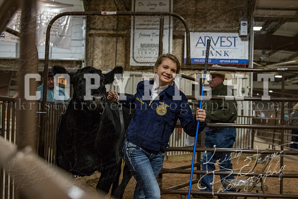mayes_county_fair_premium_sale_2701