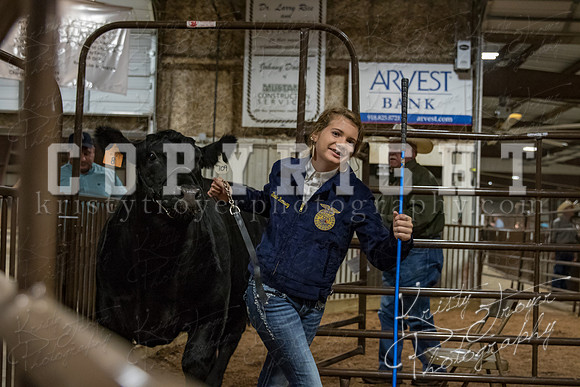mayes_county_fair_premium_sale_2702