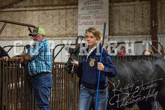 mayes_county_fair_premium_sale_2703