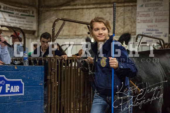 mayes_county_fair_premium_sale_2704