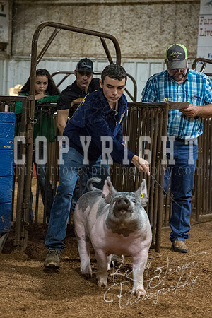 mayes_county_fair_premium_sale_2705