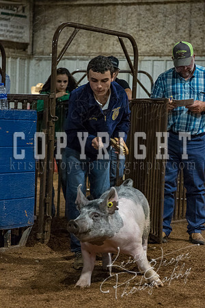 mayes_county_fair_premium_sale_2706