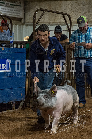 mayes_county_fair_premium_sale_2707