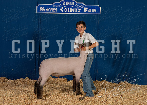 mayes_county_fair_backdrop_1033