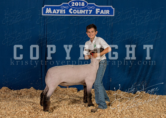 mayes_county_fair_backdrop_1034
