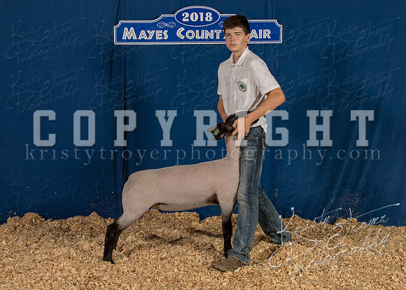 mayes_county_fair_backdrop_1038