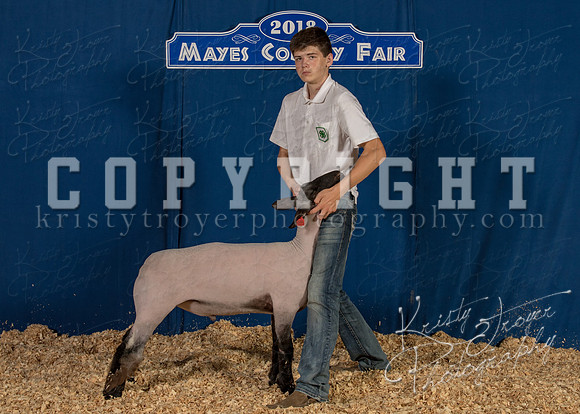 mayes_county_fair_backdrop_1037