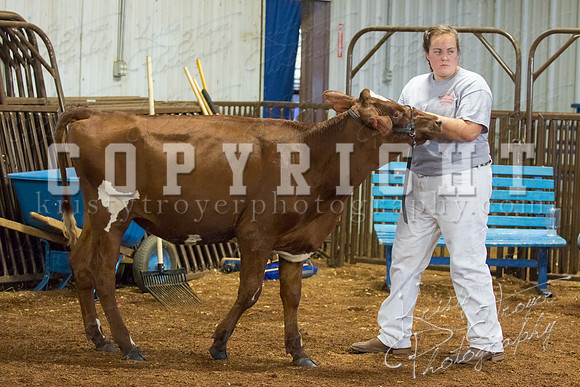 MAYES_COUNTY_FAIR_DAIRY-3398