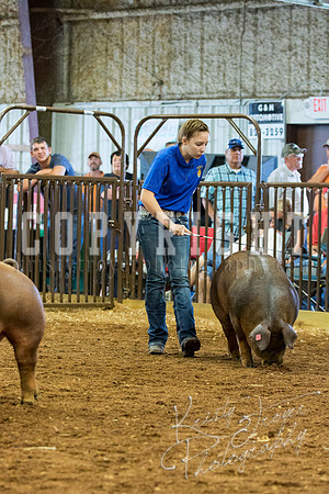 MAYES_COUNTY_FAIR_Swine-9542