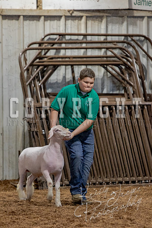 2021_MAYESCOUNTYFAIR_-3803