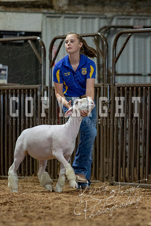 2021_MAYESCOUNTYFAIR_-3806