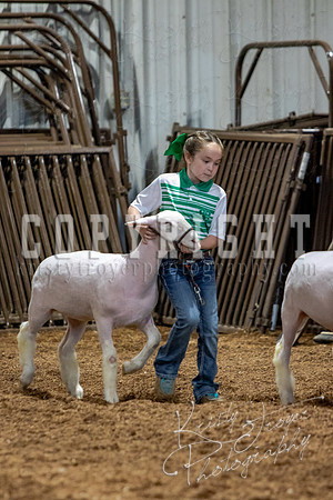 2021_MAYESCOUNTYFAIR_-3804