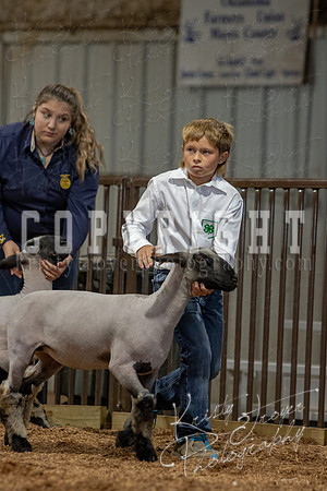 2021_MAYESCOUNTYFAIR_-3812