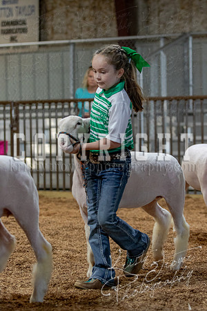 2021_MAYESCOUNTYFAIR_-3808