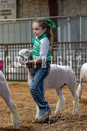 2021_MAYESCOUNTYFAIR_-3809
