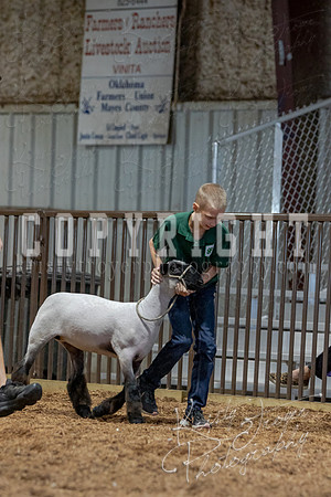 2021_MAYESCOUNTYFAIR_-3811