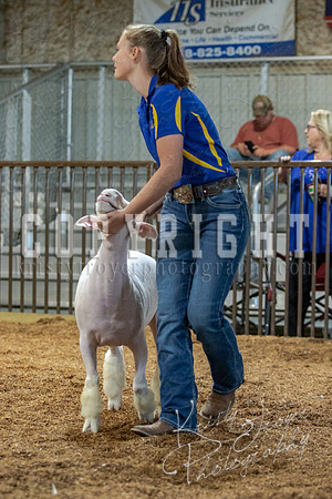 2021_MAYESCOUNTYFAIR_-3810
