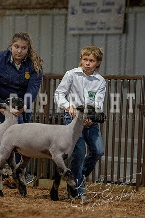 2021_MAYESCOUNTYFAIR_-3813