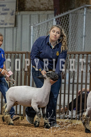 2021_MAYESCOUNTYFAIR_-3815