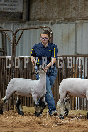 2021_MAYESCOUNTYFAIR_-3817