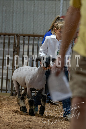 2021_MAYESCOUNTYFAIR_-3822