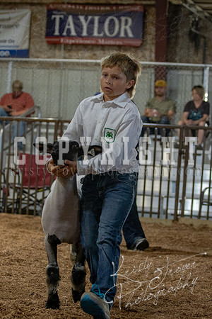 2021_MAYESCOUNTYFAIR_-3823