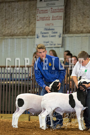 MAYES_COUNTY_FAIR_SHEEP-2898