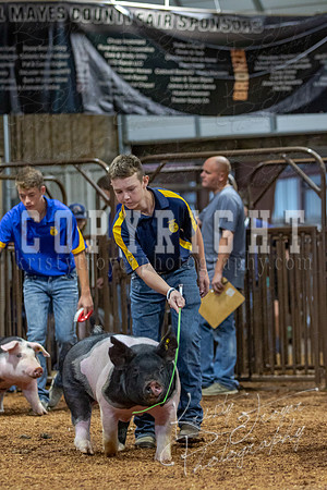 2021_MAYESCOUNTYFAIR_-4502