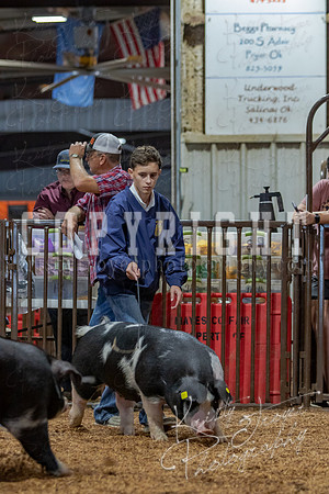 2021_MAYESCOUNTYFAIR_-4504