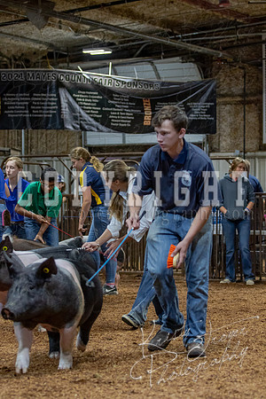 2021_MAYESCOUNTYFAIR_-4506