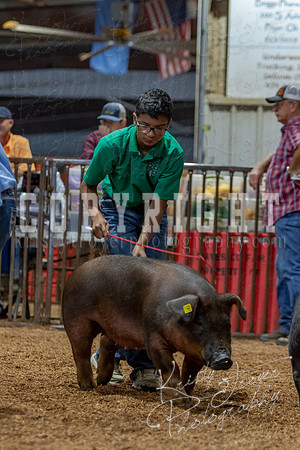 2021_MAYESCOUNTYFAIR_-4507