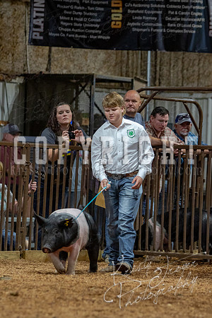 2021_MAYESCOUNTYFAIR_-4521
