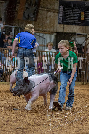 2021_MAYESCOUNTYFAIR_-4519