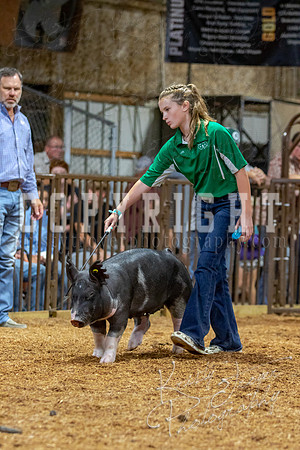 2021_MAYESCOUNTYFAIR_-4525