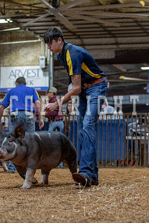 2021_MAYESCOUNTYFAIR_-4529