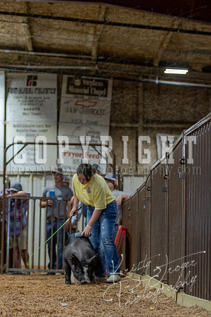2021_MAYESCOUNTYFAIR_-4532