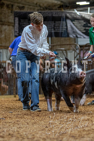 2021_MAYESCOUNTYFAIR_-4535