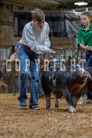 2021_MAYESCOUNTYFAIR_-4537