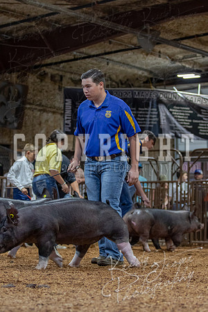 2021_MAYESCOUNTYFAIR_-4538