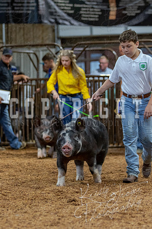 2021_MAYESCOUNTYFAIR_-4540
