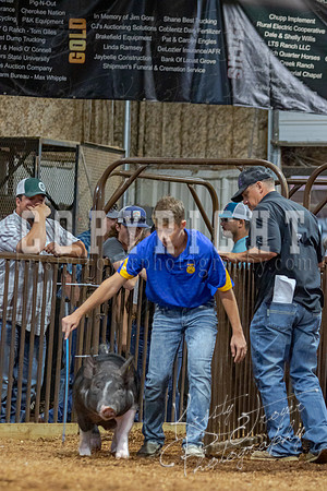 2021_MAYESCOUNTYFAIR_-4542