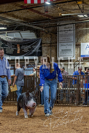 2021_MAYESCOUNTYFAIR_-4543