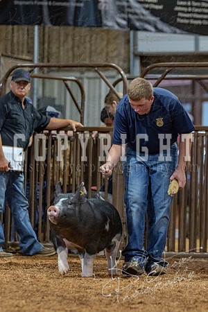 2021_MAYESCOUNTYFAIR_-4545