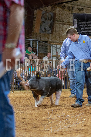 2021_MAYESCOUNTYFAIR_-4548