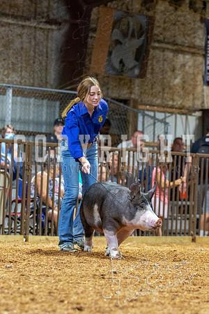 2021_MAYESCOUNTYFAIR_-4549