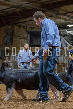 2021_MAYESCOUNTYFAIR_-4557