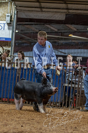 2021_MAYESCOUNTYFAIR_-4559