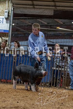 2021_MAYESCOUNTYFAIR_-4560